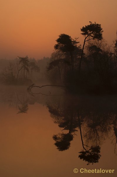 _DSC8759.JPG - Zonsopkomst Oisterwijkse Vennen