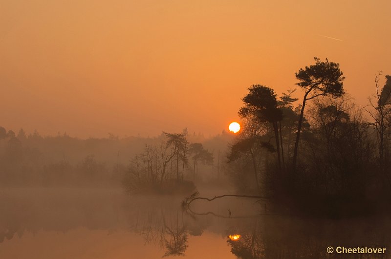 _DSC8773.JPG - Zonsopkomst Oisterwijkse Vennen