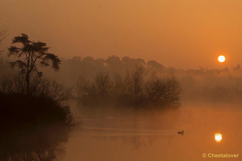 _DSC8780.JPG - Zonsopkomst Oisterwijkse Vennen