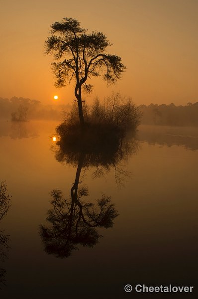 _DSC8786.JPG - Zonsopkomst Oisterwijkse Vennen