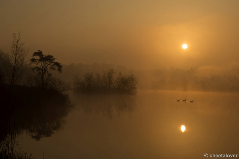 _DSC8807.JPG - Zonsopkomst Oisterwijkse Vennen