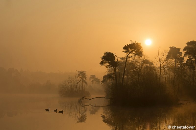 _DSC8813.JPG - Zonsopkomst Oisterwijkse Vennen