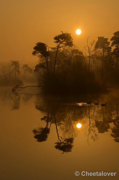 _DSC8816.JPG - Zonsopkomst Oisterwijkse Vennen