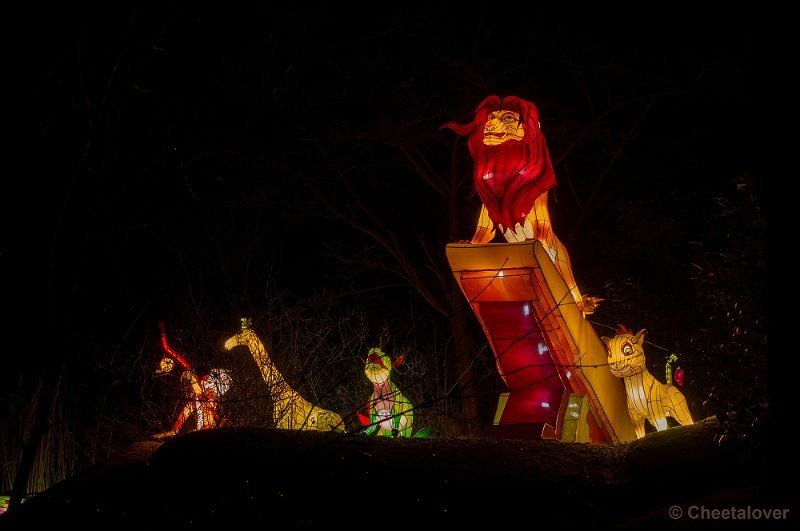 _DSC3256.JPG - Burger's Zoo, China Lights