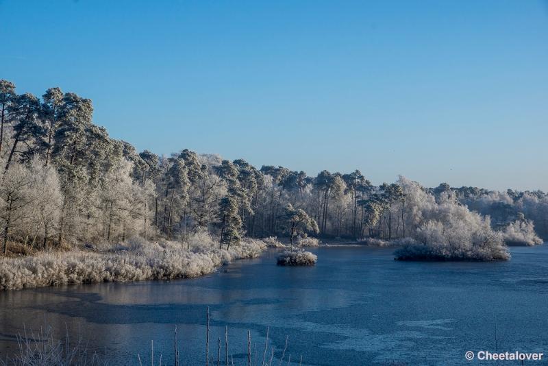 _DSC0001.JPG - Oisterwijkse Vennen en Plassen in een wintersfeertje