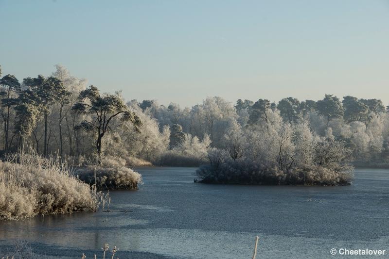 _DSC0010.JPG - Oisterwijkse Vennen en Plassen in een wintersfeertje