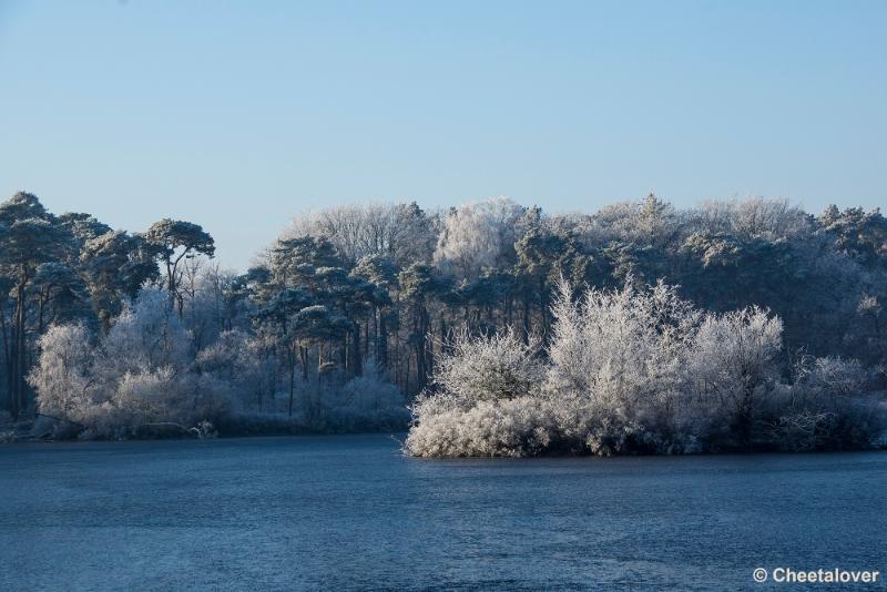 _DSC0026.JPG - Oisterwijkse Vennen en Plassen in een wintersfeertje