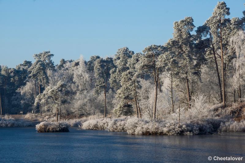 _DSC0027.JPG - Oisterwijkse Vennen en Plassen in een wintersfeertje