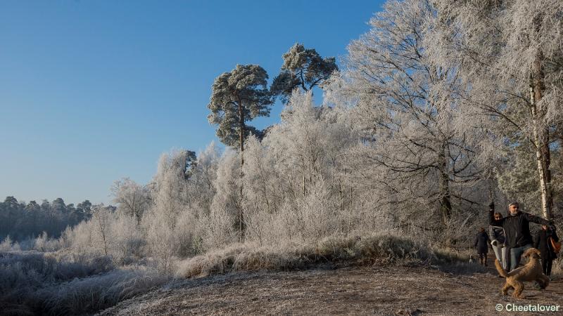 _DSC0069.JPG - Oisterwijkse Vennen en Plassen in een wintersfeertje