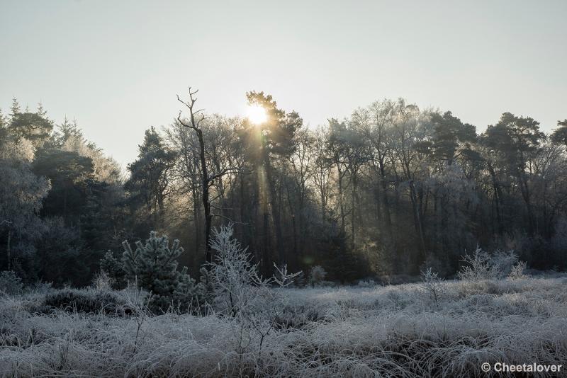 _DSC0072.JPG - Oisterwijkse Vennen en Plassen in een wintersfeertje