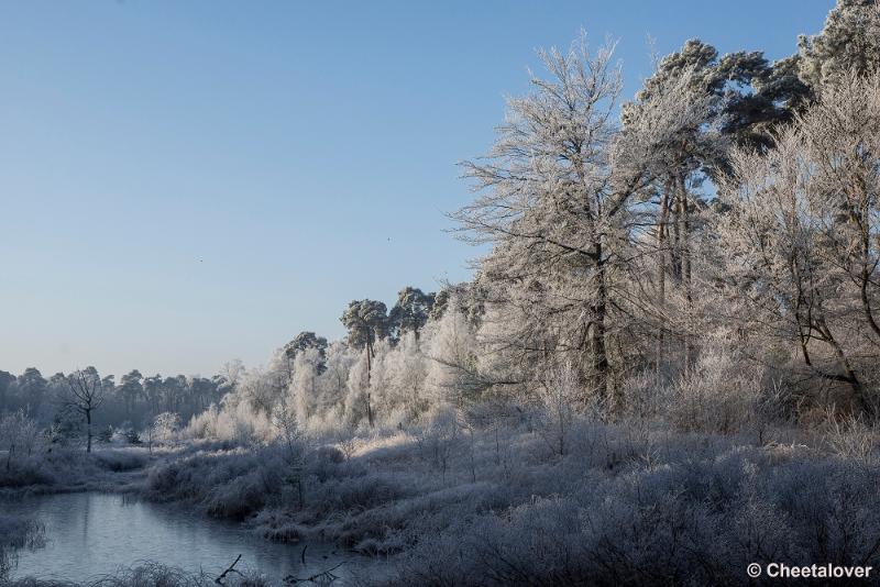 _DSC0091.JPG - Oisterwijkse Vennen en Plassen in een wintersfeertje