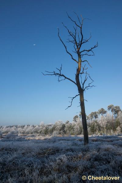 _DSC0115.JPG - Oisterwijkse Vennen en Plassen in een wintersfeertje