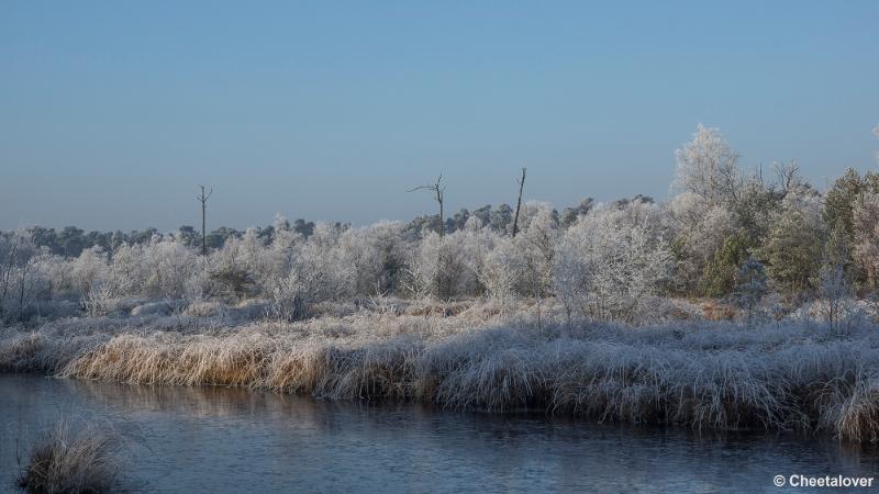 _DSC0118.JPG - Oisterwijkse Vennen en Plassen in een wintersfeertje