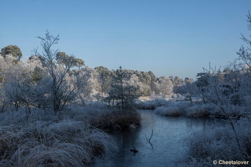 _DSC0123.JPG - Oisterwijkse Vennen en Plassen in een wintersfeertje