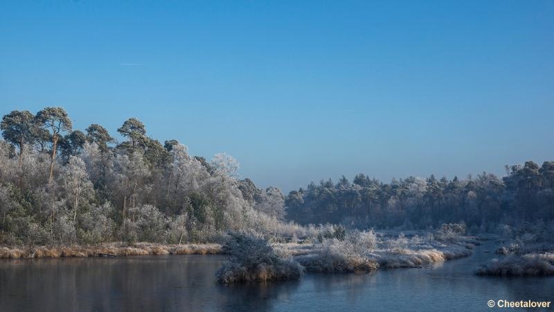 _DSC0132.JPG - Oisterwijkse Vennen en Plassen in een wintersfeertje