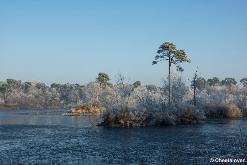 _DSC0145.JPG - Oisterwijkse Vennen en Plassen in een wintersfeertje