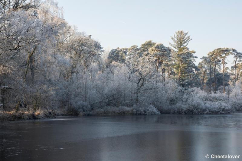 _DSC0146.JPG - Oisterwijkse Vennen en Plassen in een wintersfeertje