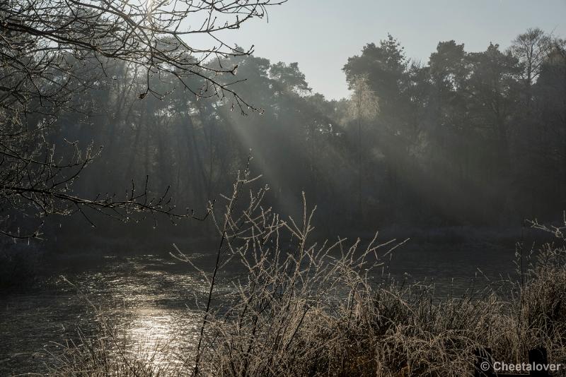 _DSC0170.JPG - Oisterwijkse Vennen en Plassen in een wintersfeertje