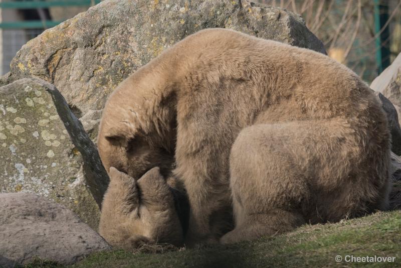 _DSC0157.JPG - Dierenrijk