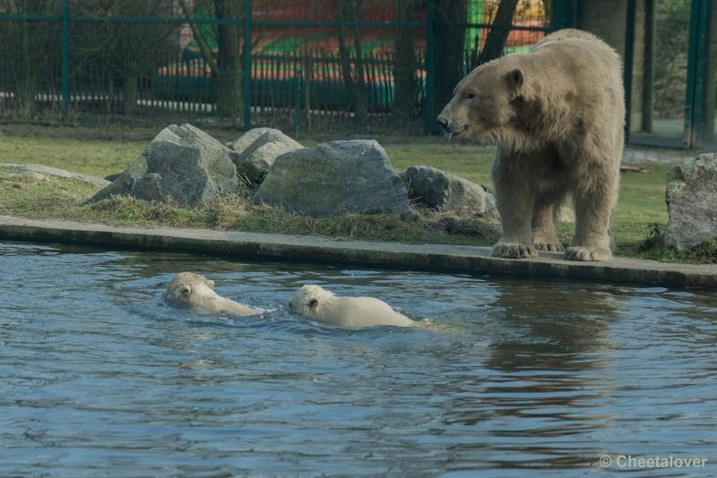 _DSC0190.JPG - Dierenrijk