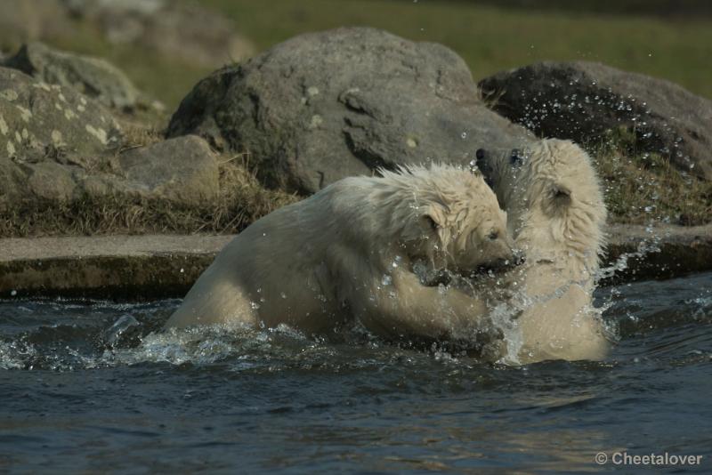 _DSC0328.JPG - Dierenrijk