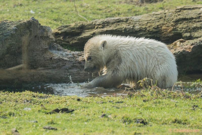 _DSC0365.JPG - Dierenrijk