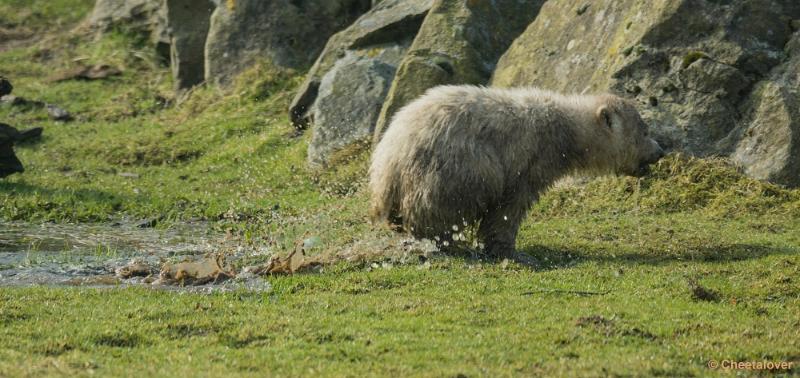 _DSC0384.JPG - Dierenrijk