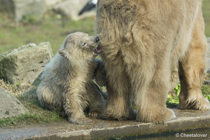 _DSC0415.JPG - Dierenrijk