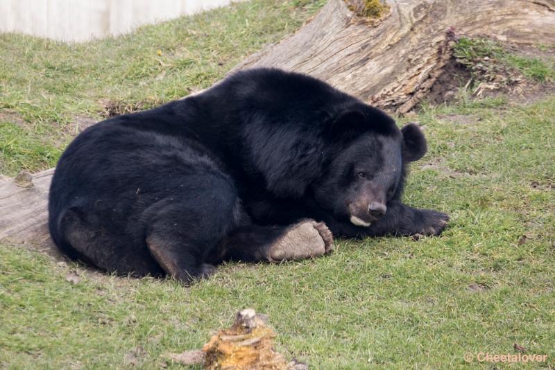 _DSC0489.JPG - Dierenrijk