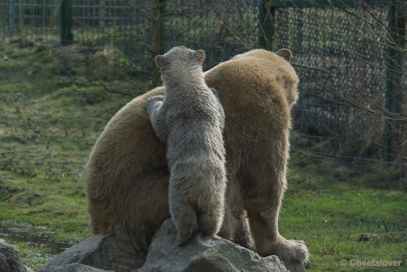 _DSC0551.JPG - Dierenrijk