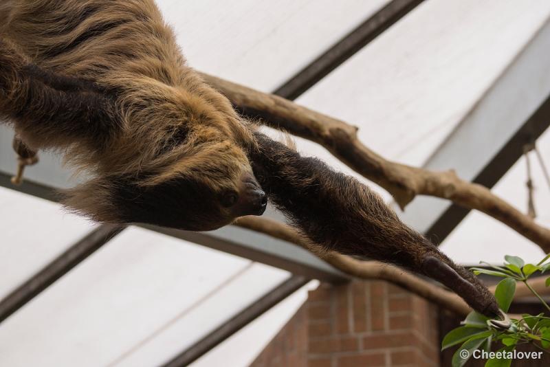 _DSC0037.JPG - Dortmund Zoo