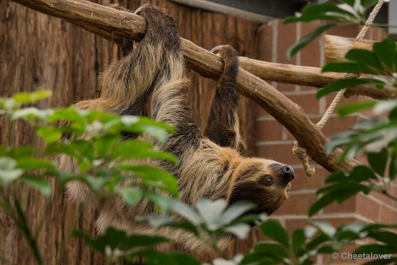 _DSC0039.JPG - Dortmund Zoo