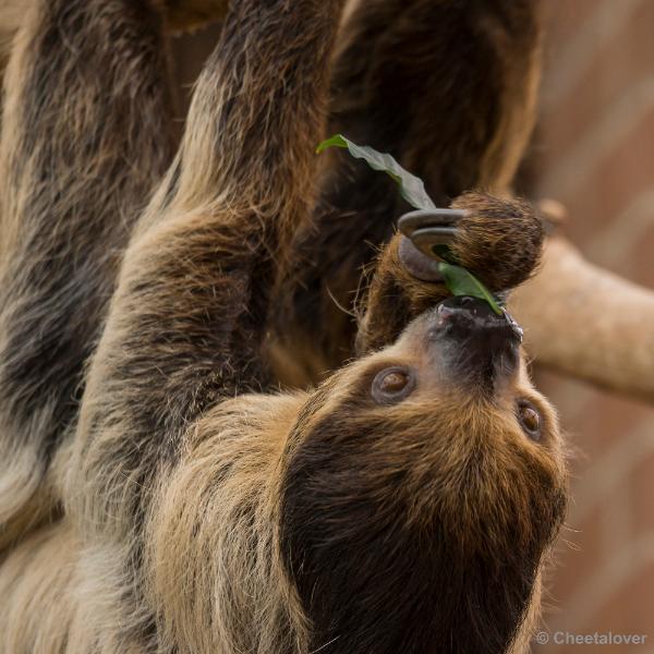 _DSC0047.JPG - Dortmund Zoo