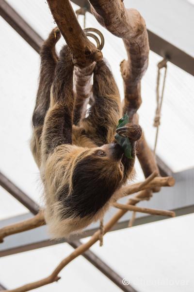 _DSC0051.JPG - Dortmund Zoo