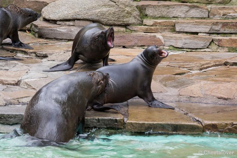 _DSC0188.JPG - Dortmund Zoo