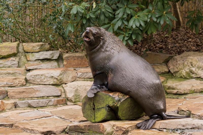 _DSC0203.JPG - Dortmund Zoo