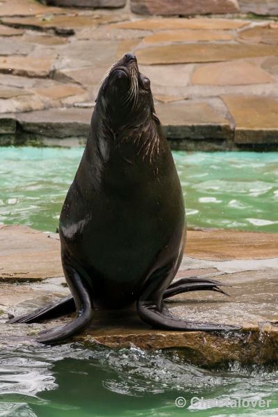 _DSC0287.JPG - Dortmund Zoo