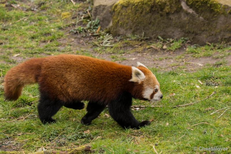 _DSC0444.JPG - Dortmund Zoo