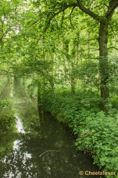 _DSC0018.JPG - Het Hageven