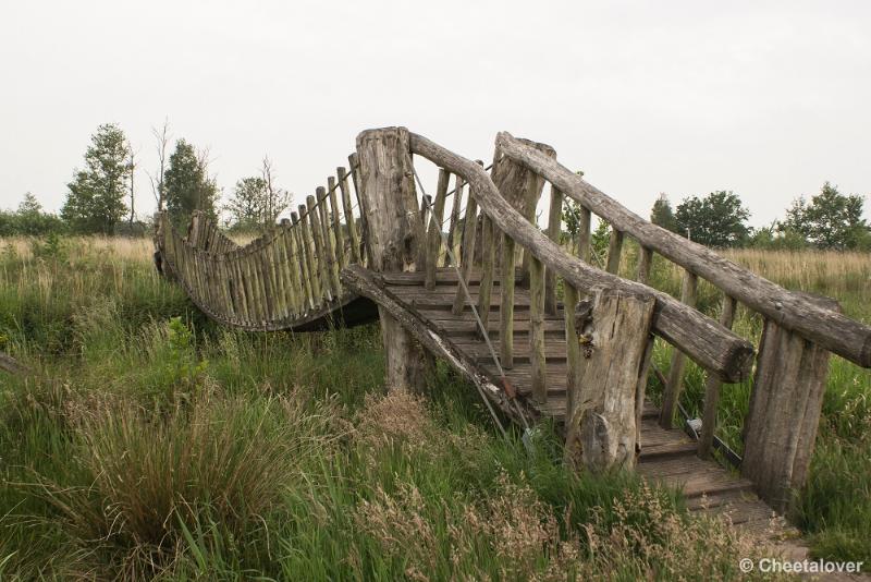 _DSC0083.JPG - Het Hageven