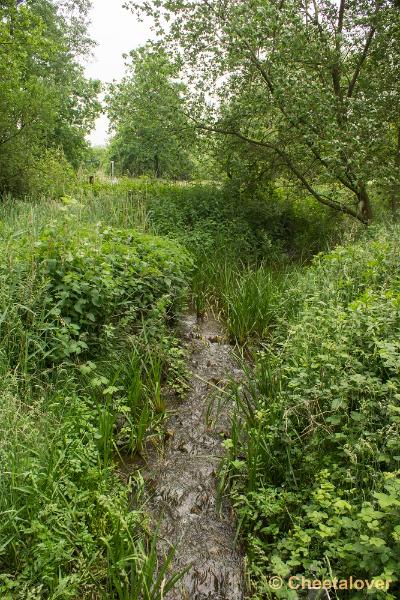 _DSC0107.JPG - Het Hageven