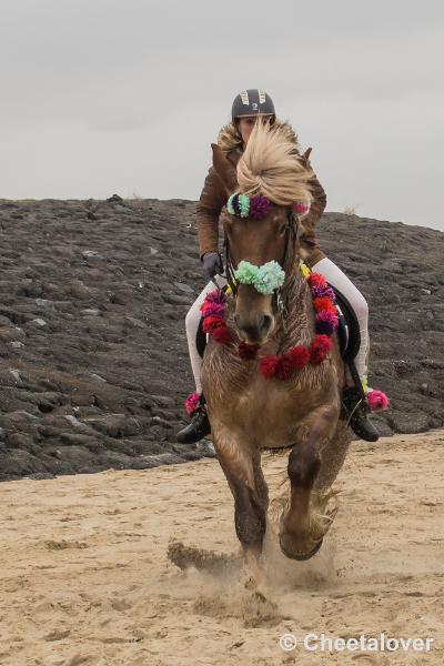 _DSC0256.JPG - Strao Serooskerke 19 maart 2016