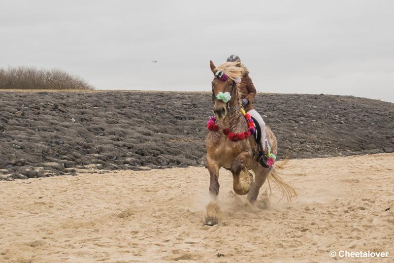 _DSC0258.JPG - Strao Serooskerke 19 maart 2016