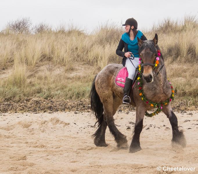 _DSC0360.JPG - Strao Serooskerke 19 maart 2016