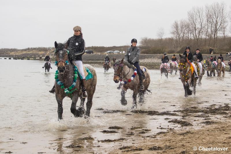 _DSC0448.JPG - Strao Serooskerke 19 maart 2016