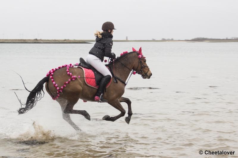 _DSC0484.JPG - Strao Serooskerke 19 maart 2016