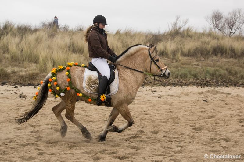 _DSC0495.JPG - Strao Serooskerke 19 maart 2016