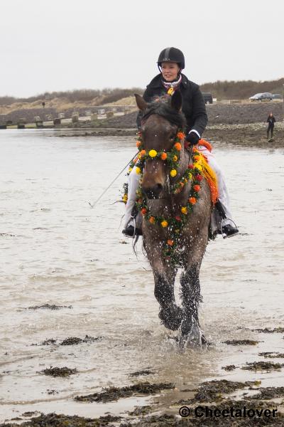 _DSC0531.JPG - Strao Serooskerke 19 maart 2016