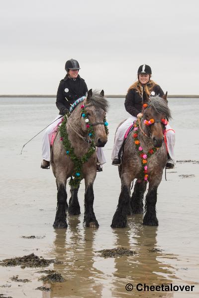 _DSC0605.JPG - Strao Serooskerke 19 maart 2016