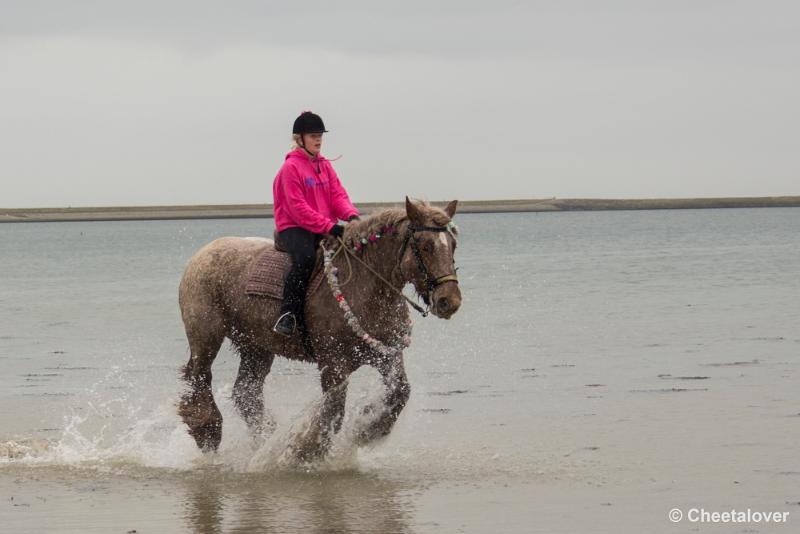 _DSC0634.JPG - Strao Serooskerke 19 maart 2016